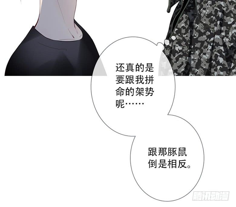 《曲折少年》漫画最新章节 第38话后小剧场：没有尾巴的兔子 免费下拉式在线观看章节第【73】张图片