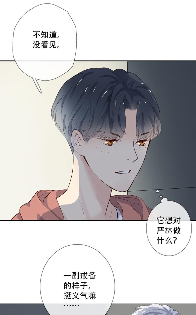 《曲折少年》漫画最新章节 第38话后小剧场：没有尾巴的兔子 免费下拉式在线观看章节第【90】张图片