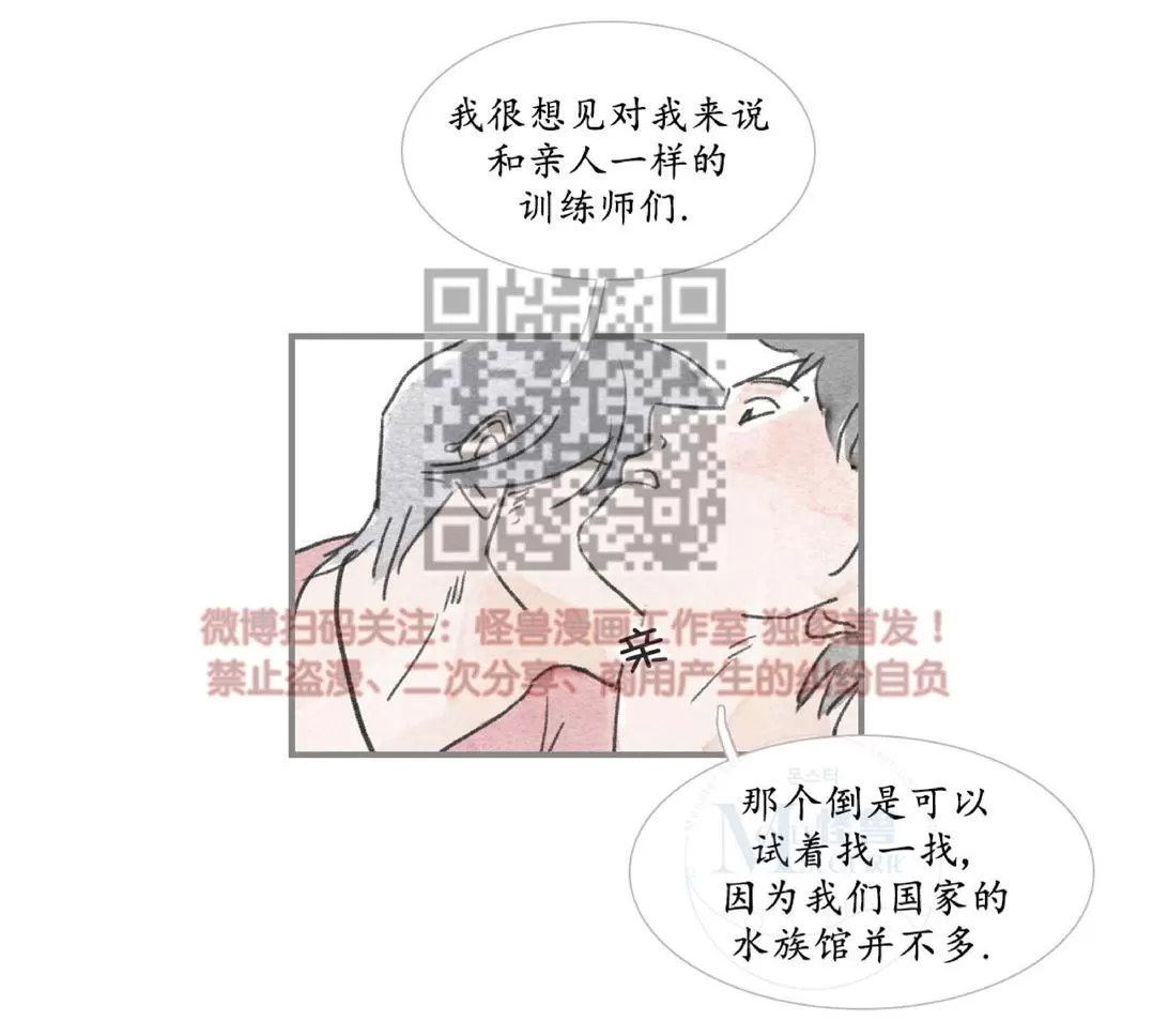 《海豚精灵》漫画最新章节 第10话 免费下拉式在线观看章节第【13】张图片