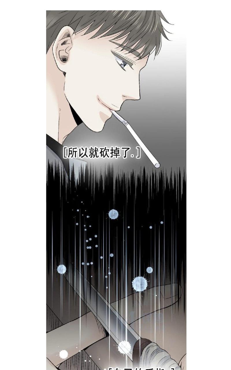 《愿爱降临》漫画最新章节 第36-41话 免费下拉式在线观看章节第【148】张图片