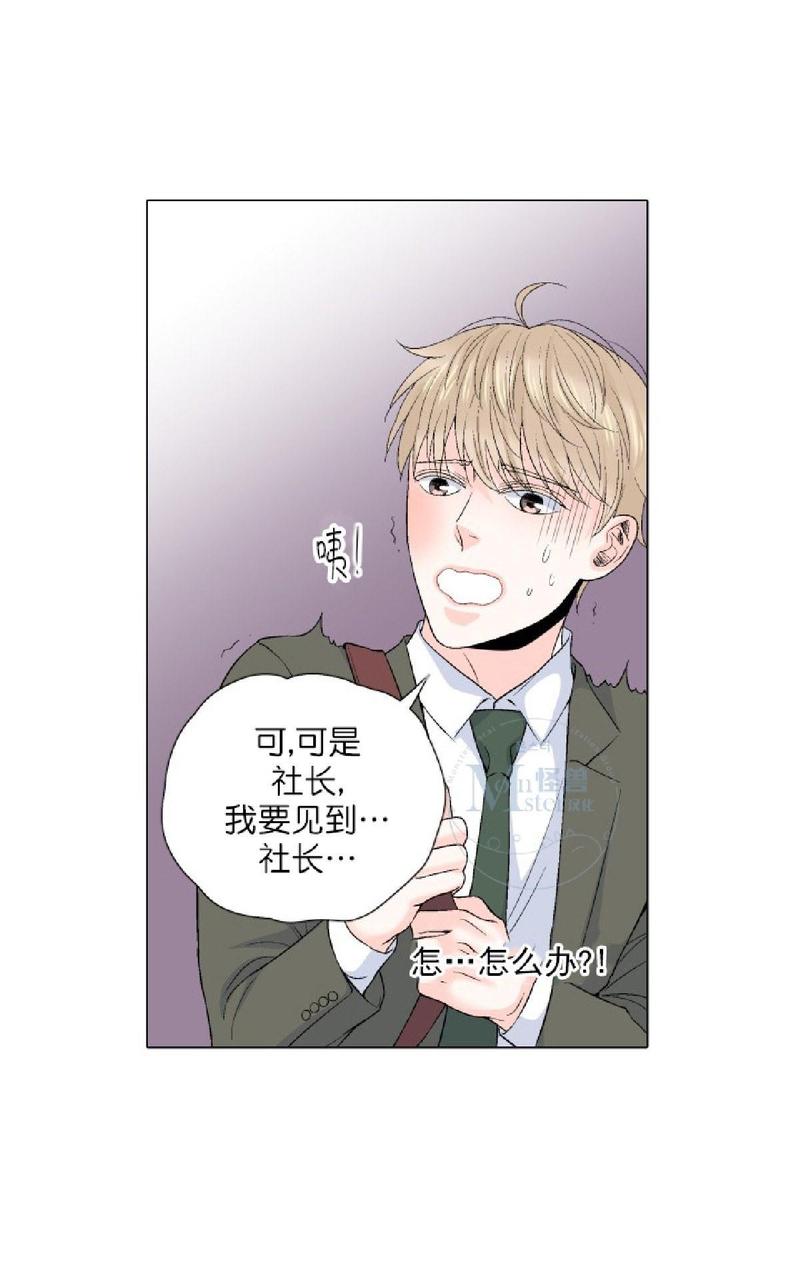 《愿爱降临》漫画最新章节 第36-41话 免费下拉式在线观看章节第【192】张图片