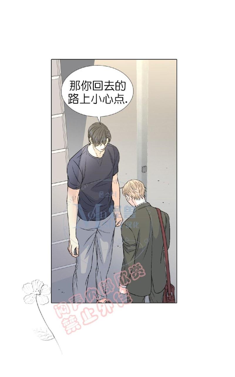 《愿爱降临》漫画最新章节 第36-41话 免费下拉式在线观看章节第【223】张图片