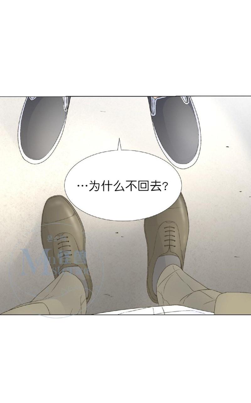 《愿爱降临》漫画最新章节 第36-41话 免费下拉式在线观看章节第【233】张图片