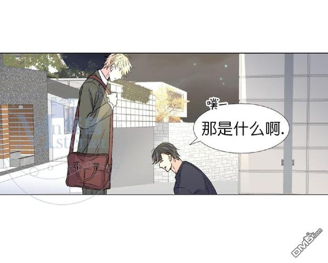 《愿爱降临》漫画最新章节 第36-41话 免费下拉式在线观看章节第【241】张图片