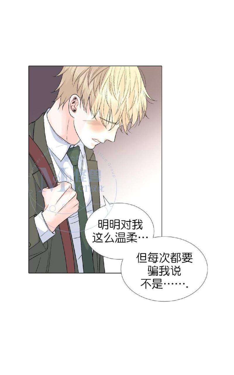 《愿爱降临》漫画最新章节 第36-41话 免费下拉式在线观看章节第【242】张图片