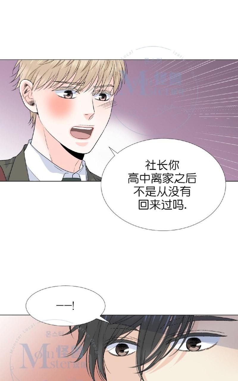 《愿爱降临》漫画最新章节 第36-41话 免费下拉式在线观看章节第【249】张图片