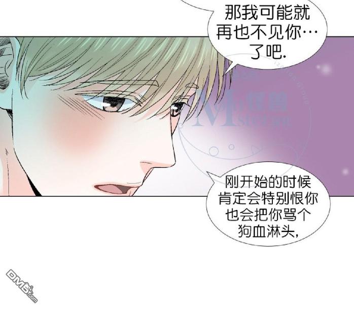 《愿爱降临》漫画最新章节 第36-41话 免费下拉式在线观看章节第【272】张图片