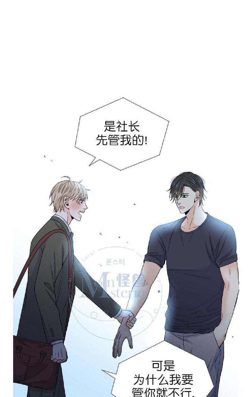 《愿爱降临》漫画最新章节 第36-41话 免费下拉式在线观看章节第【285】张图片