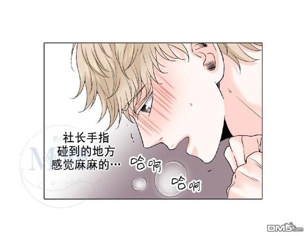 《愿爱降临》漫画最新章节 第31-35话 免费下拉式在线观看章节第【221】张图片