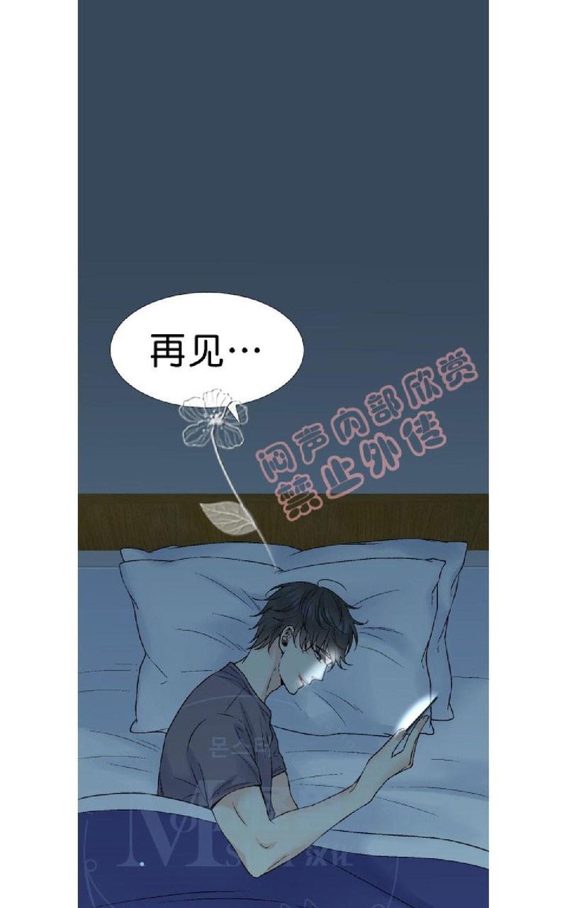 《愿爱降临》漫画最新章节 第31-35话 免费下拉式在线观看章节第【337】张图片