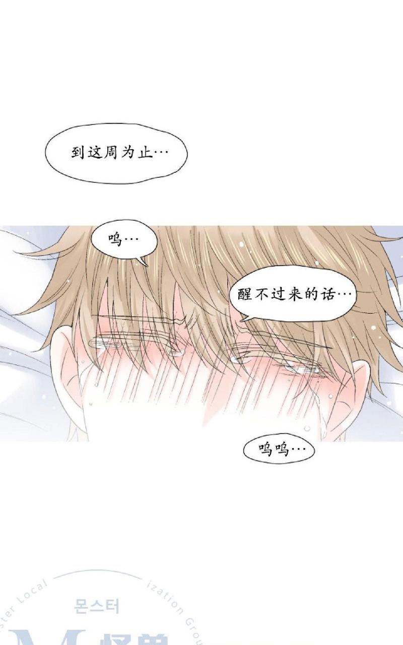 《愿爱降临》漫画最新章节 第26-30话 免费下拉式在线观看章节第【228】张图片