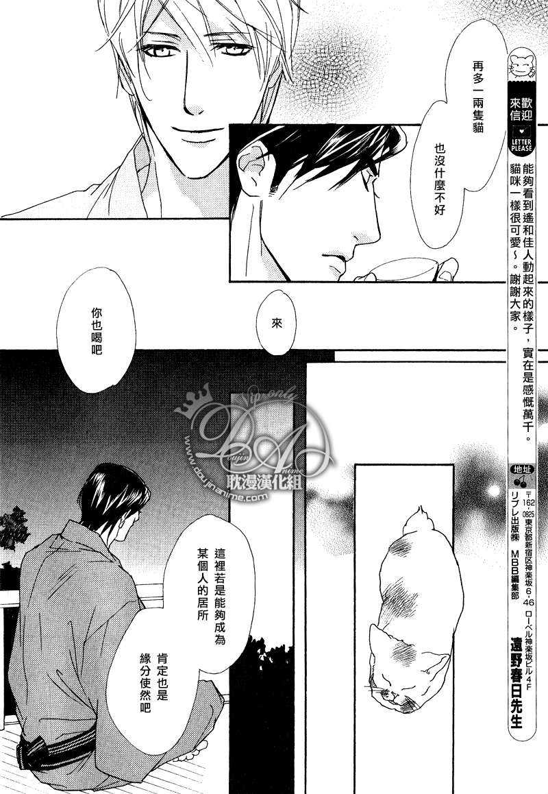 《夏宵与迷途猫》漫画最新章节 第1话 免费下拉式在线观看章节第【11】张图片