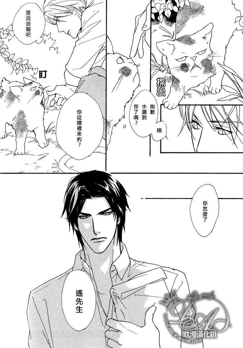 《夏宵与迷途猫》漫画最新章节 第1话 免费下拉式在线观看章节第【1】张图片