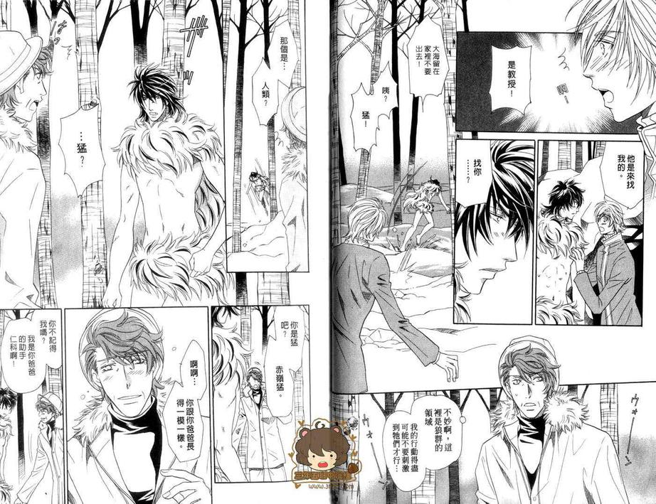 《兽之岚》漫画最新章节 第1卷 免费下拉式在线观看章节第【26】张图片