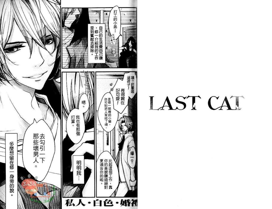 《LAST CAT》漫画最新章节 第1卷 免费下拉式在线观看章节第【39】张图片