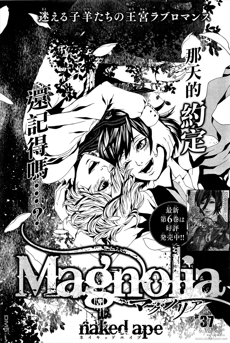 《Magnolia》漫画最新章节 第37话 免费下拉式在线观看章节第【1】张图片