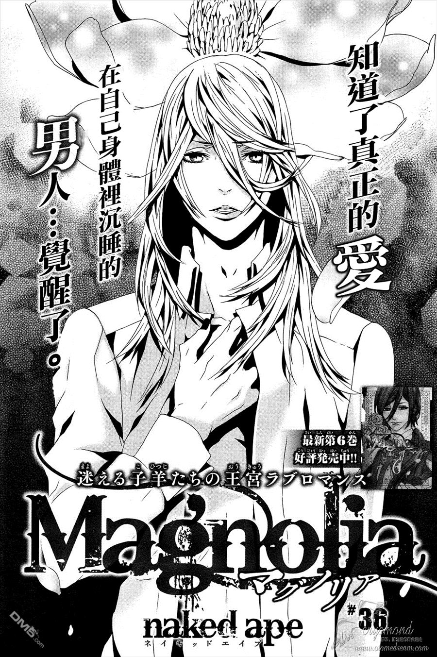 《Magnolia》漫画最新章节 第36话 免费下拉式在线观看章节第【1】张图片