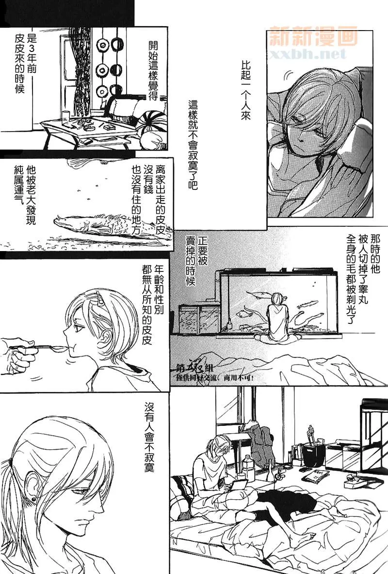 《唿唤不来的金和猫咪》漫画最新章节 第2话 免费下拉式在线观看章节第【3】张图片