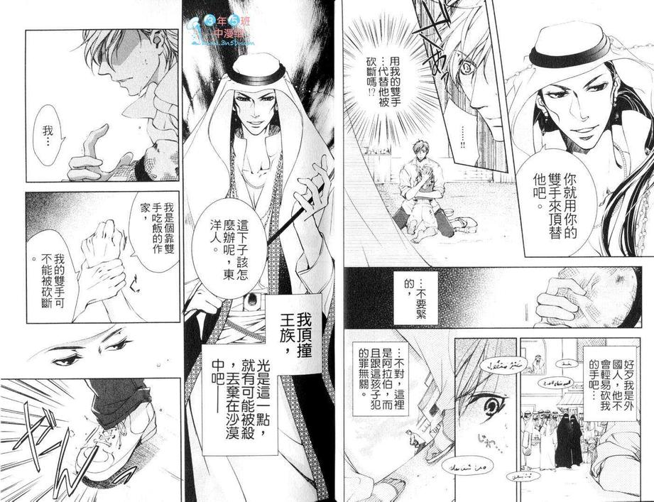 《阿拉伯特集》漫画最新章节 第1卷 免费下拉式在线观看章节第【8】张图片