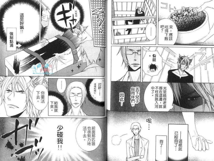 《终小虎与小狼》漫画最新章节 第1卷 免费下拉式在线观看章节第【55】张图片