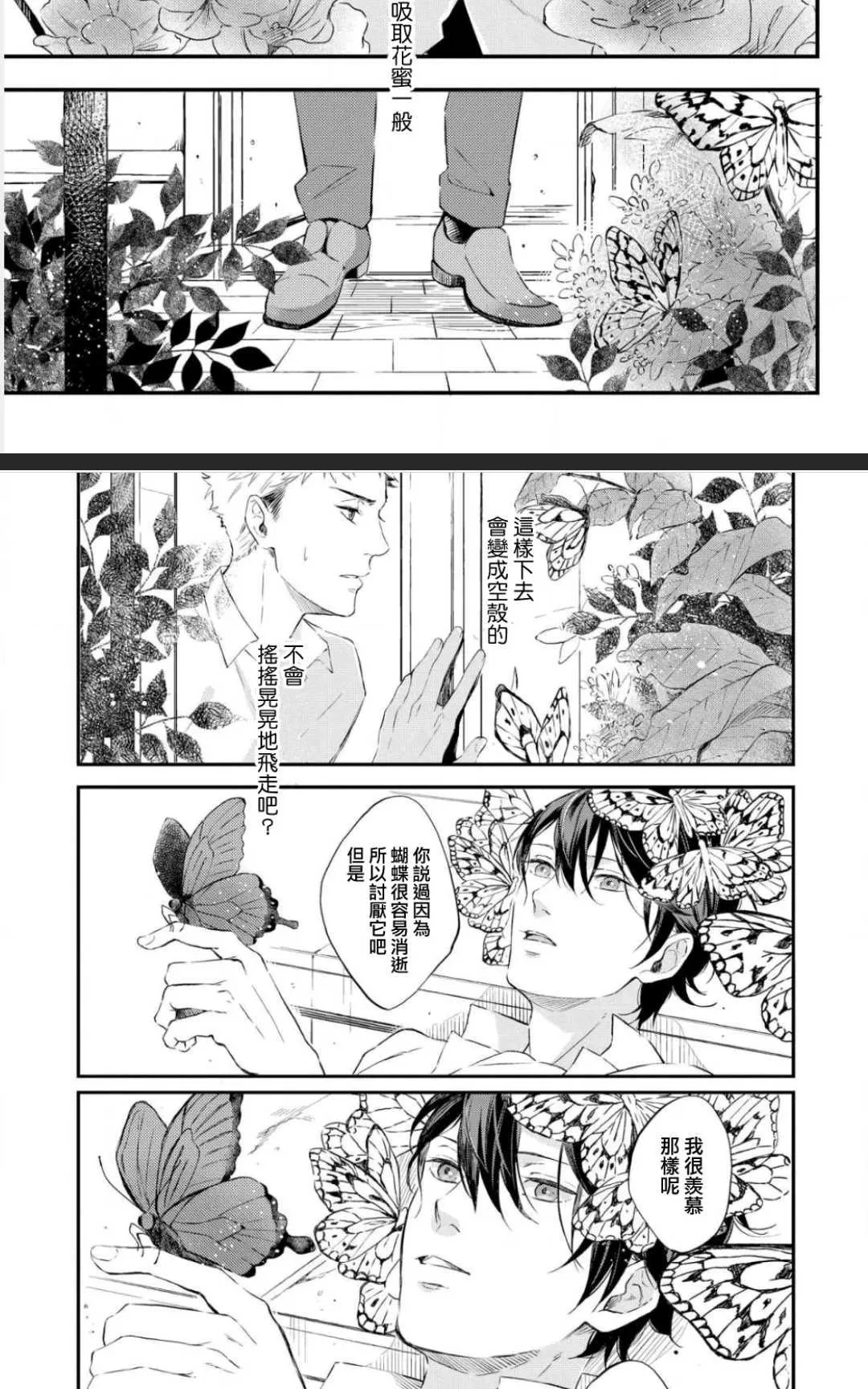 《凤蝶》漫画最新章节 第1卷 免费下拉式在线观看章节第【40】张图片