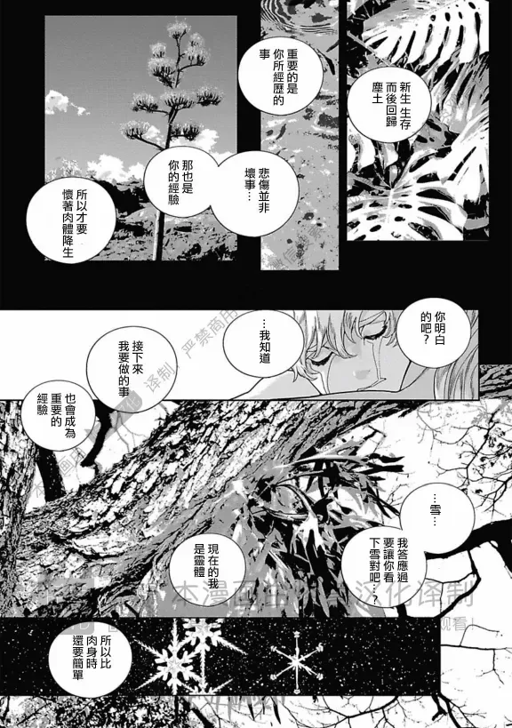 《ROMEO罗密欧》漫画最新章节 第3卷 免费下拉式在线观看章节第【146】张图片