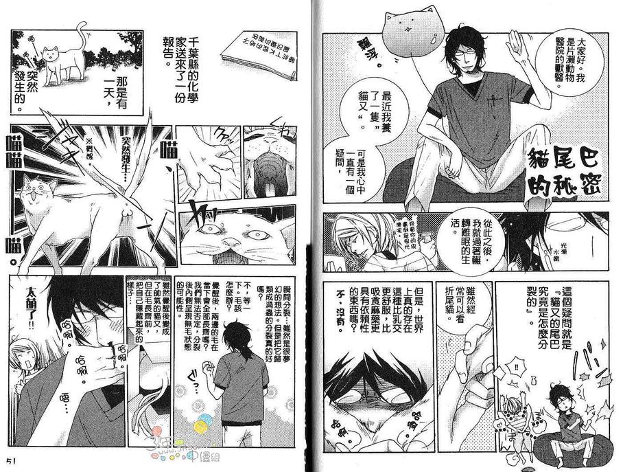 《亲吻猫尾巴》漫画最新章节 第1卷 免费下拉式在线观看章节第【35】张图片