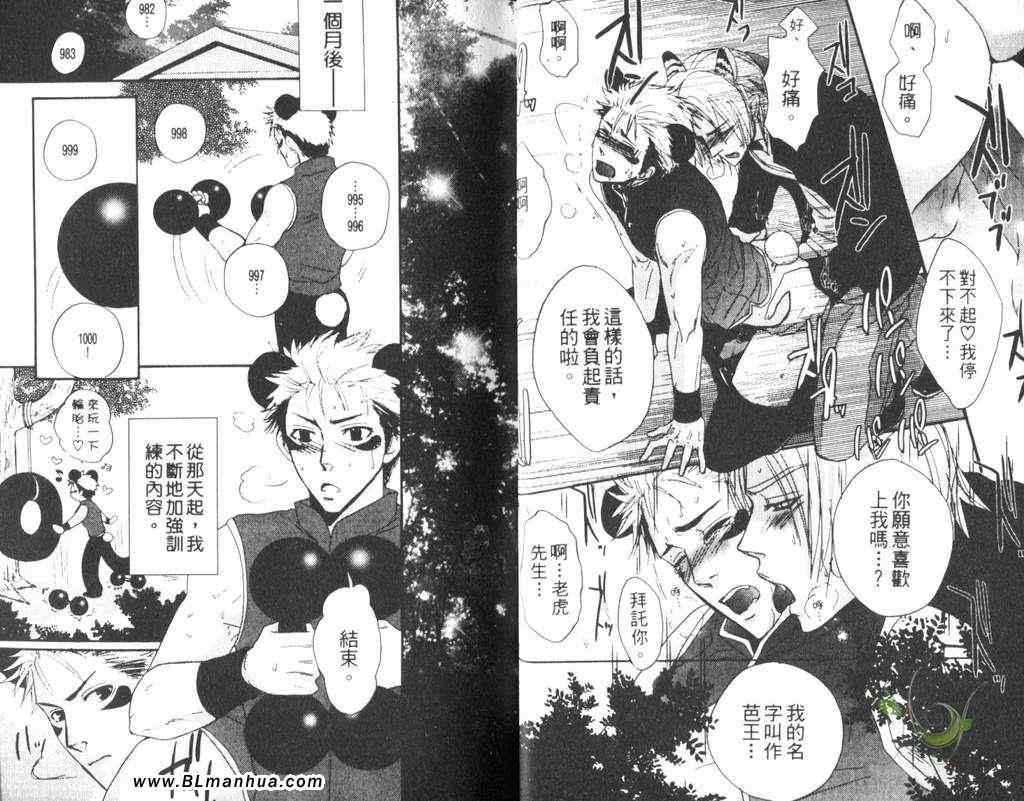 《老虎爱熊猫》漫画最新章节 第1话 免费下拉式在线观看章节第【12】张图片