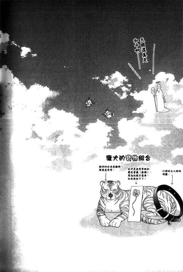 《小老虎的大冒险》漫画最新章节 第1话 免费下拉式在线观看章节第【158】张图片