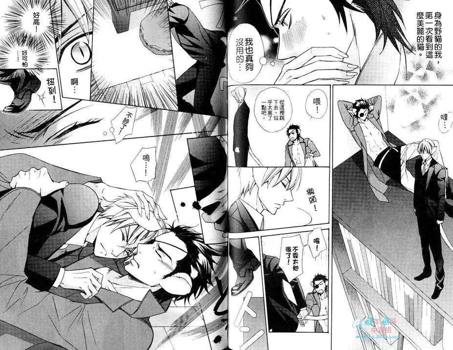 《极道达令》漫画最新章节 第1卷 免费下拉式在线观看章节第【79】张图片