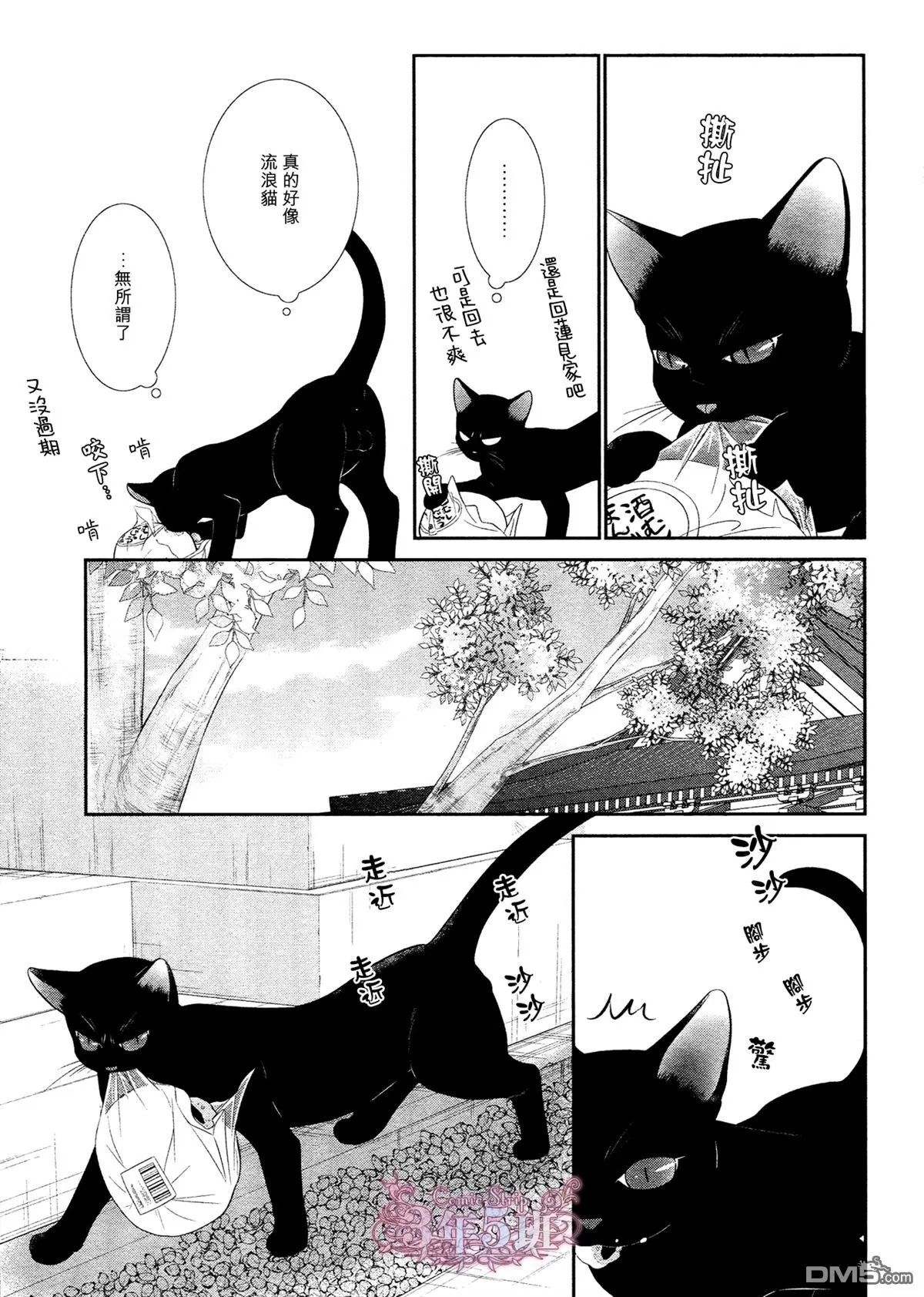 《黑猫男友/不悦男友系列合集》漫画最新章节 填满法（下） 免费下拉式在线观看章节第【28】张图片