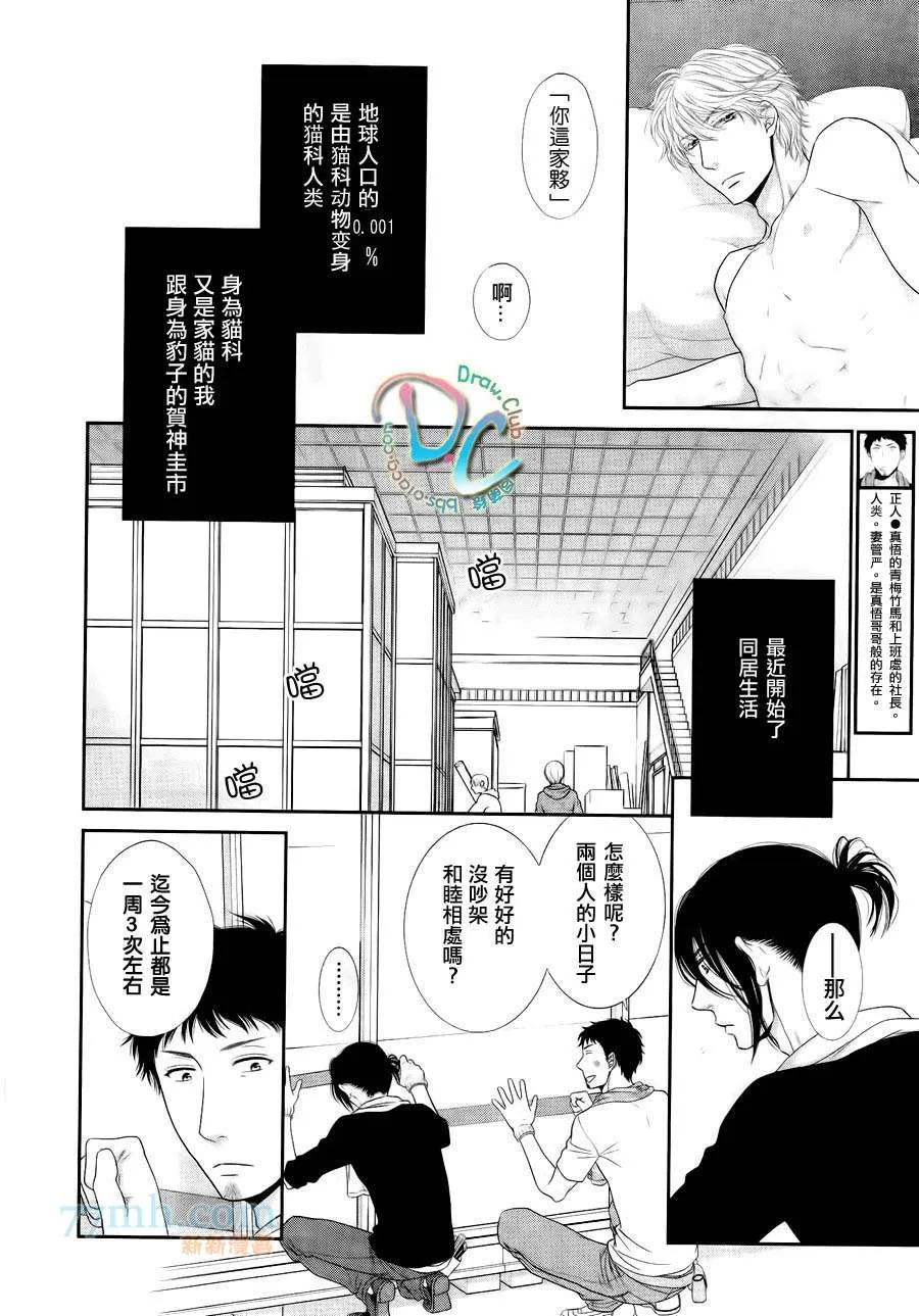 《黑猫男友/不悦男友系列合集》漫画最新章节 疼爱法 免费下拉式在线观看章节第【15】张图片