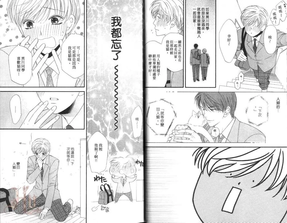 《喵喵甜心》漫画最新章节 第2卷 免费下拉式在线观看章节第【12】张图片