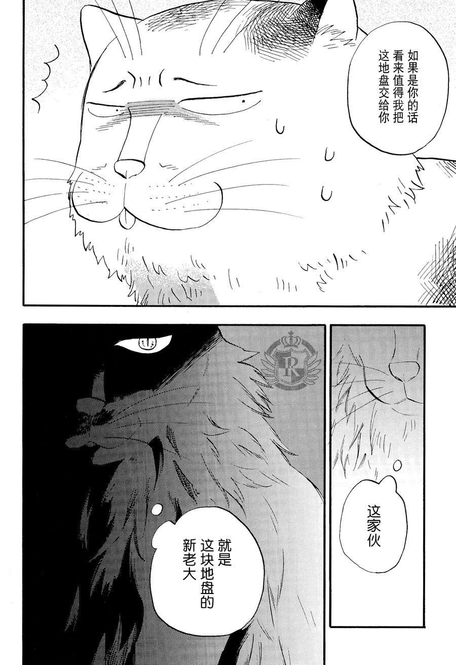 《我是丑男》漫画最新章节 第4话 免费下拉式在线观看章节第【31】张图片