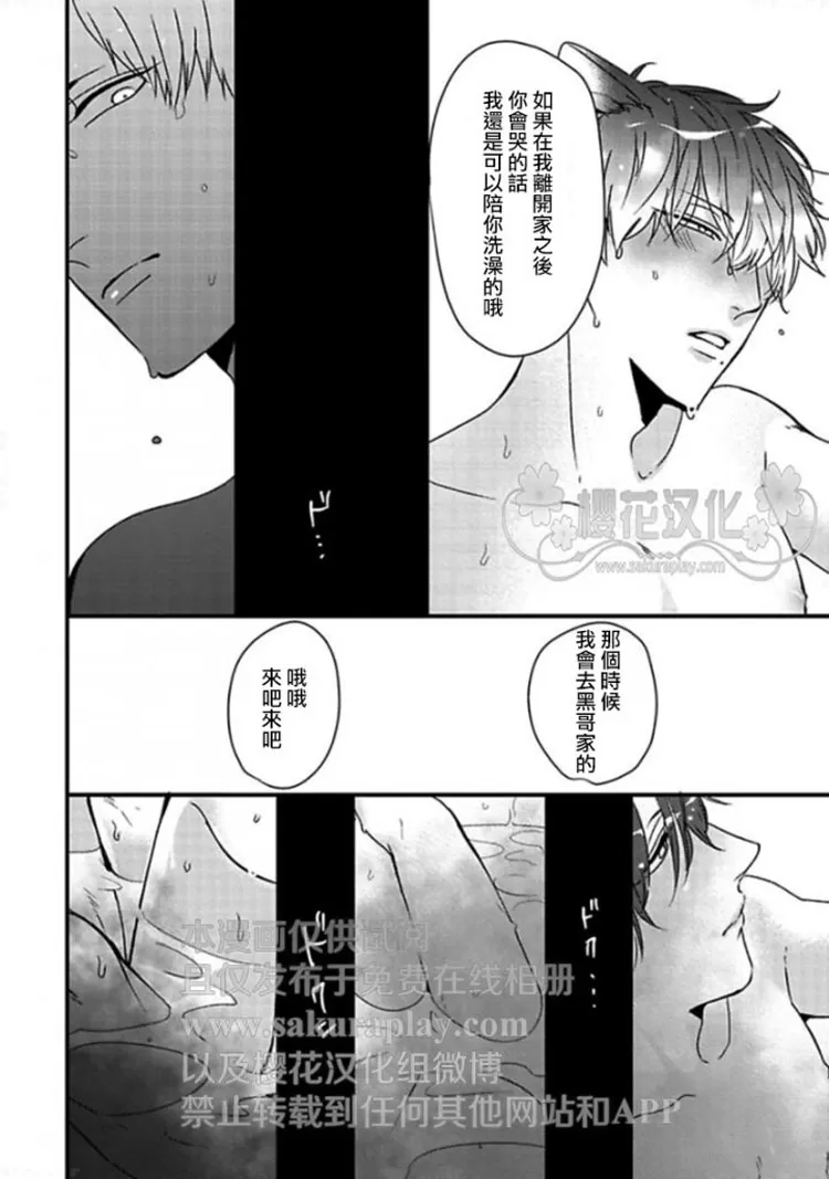 《兔子与猫咪的发情事件》漫画最新章节 第1话 免费下拉式在线观看章节第【11】张图片