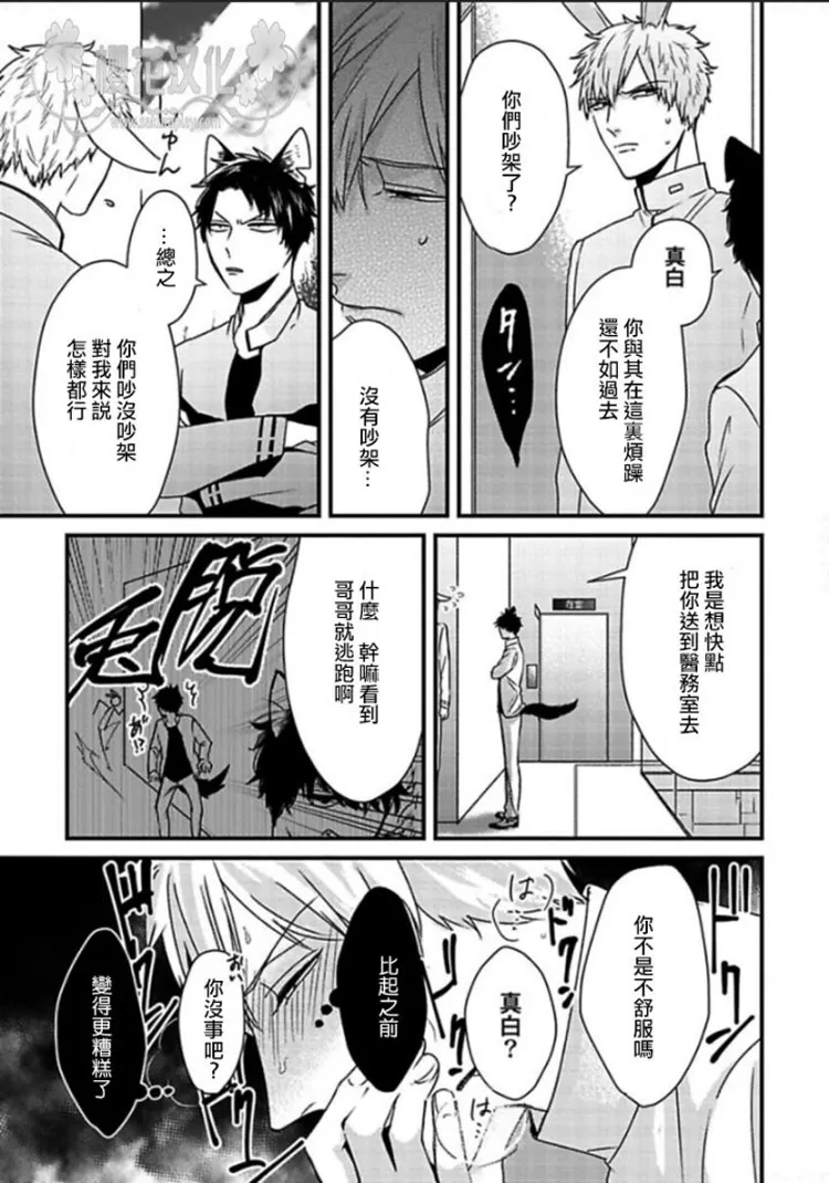 《兔子与猫咪的发情事件》漫画最新章节 第1话 免费下拉式在线观看章节第【16】张图片