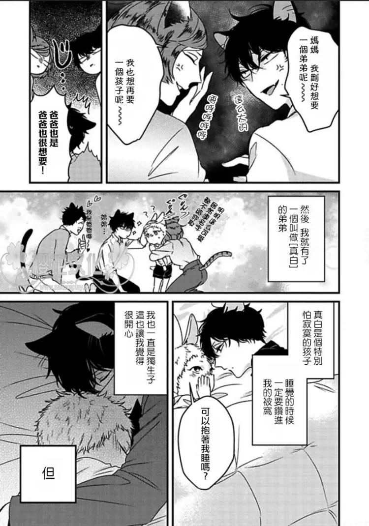 《兔子与猫咪的发情事件》漫画最新章节 第1话 免费下拉式在线观看章节第【2】张图片