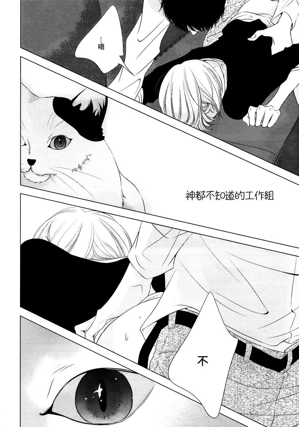 《野猫阁下的美人》漫画最新章节 第1话 免费下拉式在线观看章节第【15】张图片