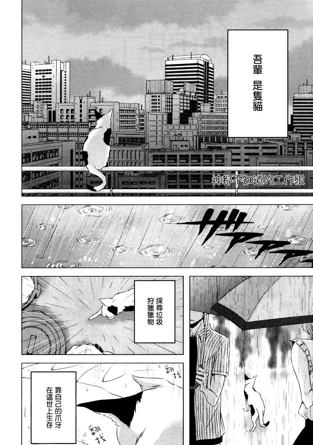 《野猫阁下的美人》漫画最新章节 第1话 免费下拉式在线观看章节第【1】张图片