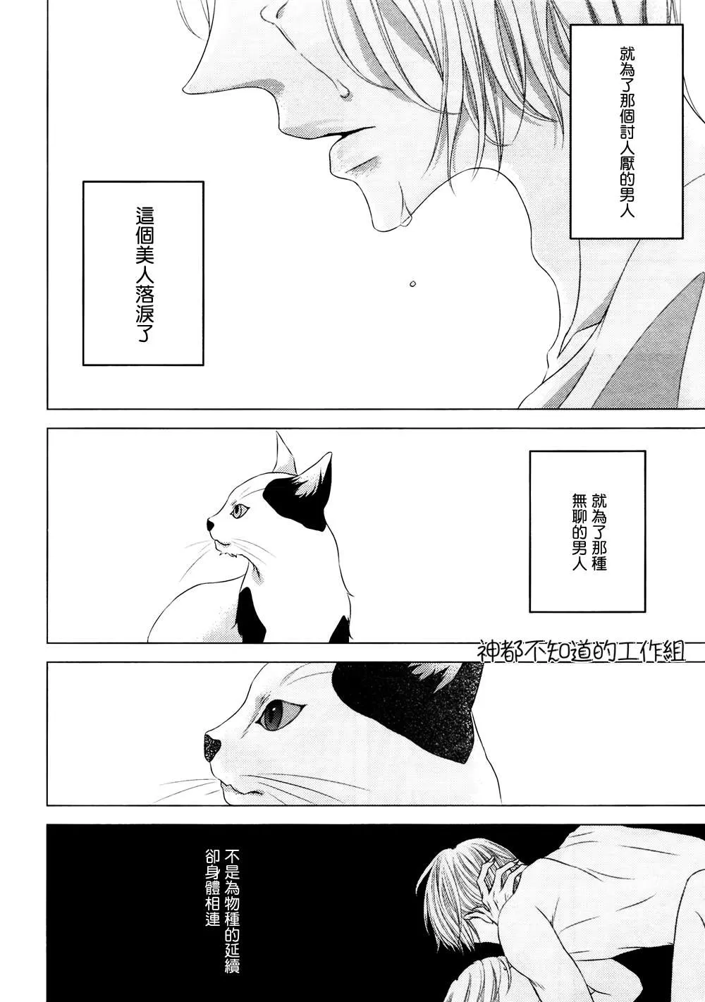 《野猫阁下的美人》漫画最新章节 第1话 免费下拉式在线观看章节第【21】张图片