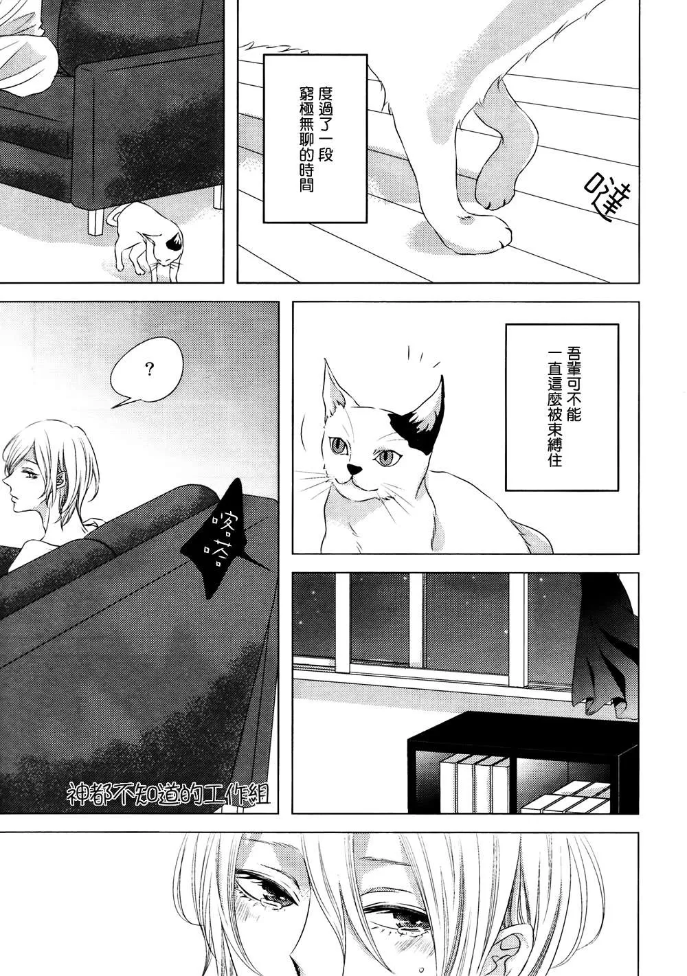 《野猫阁下的美人》漫画最新章节 第1话 免费下拉式在线观看章节第【26】张图片