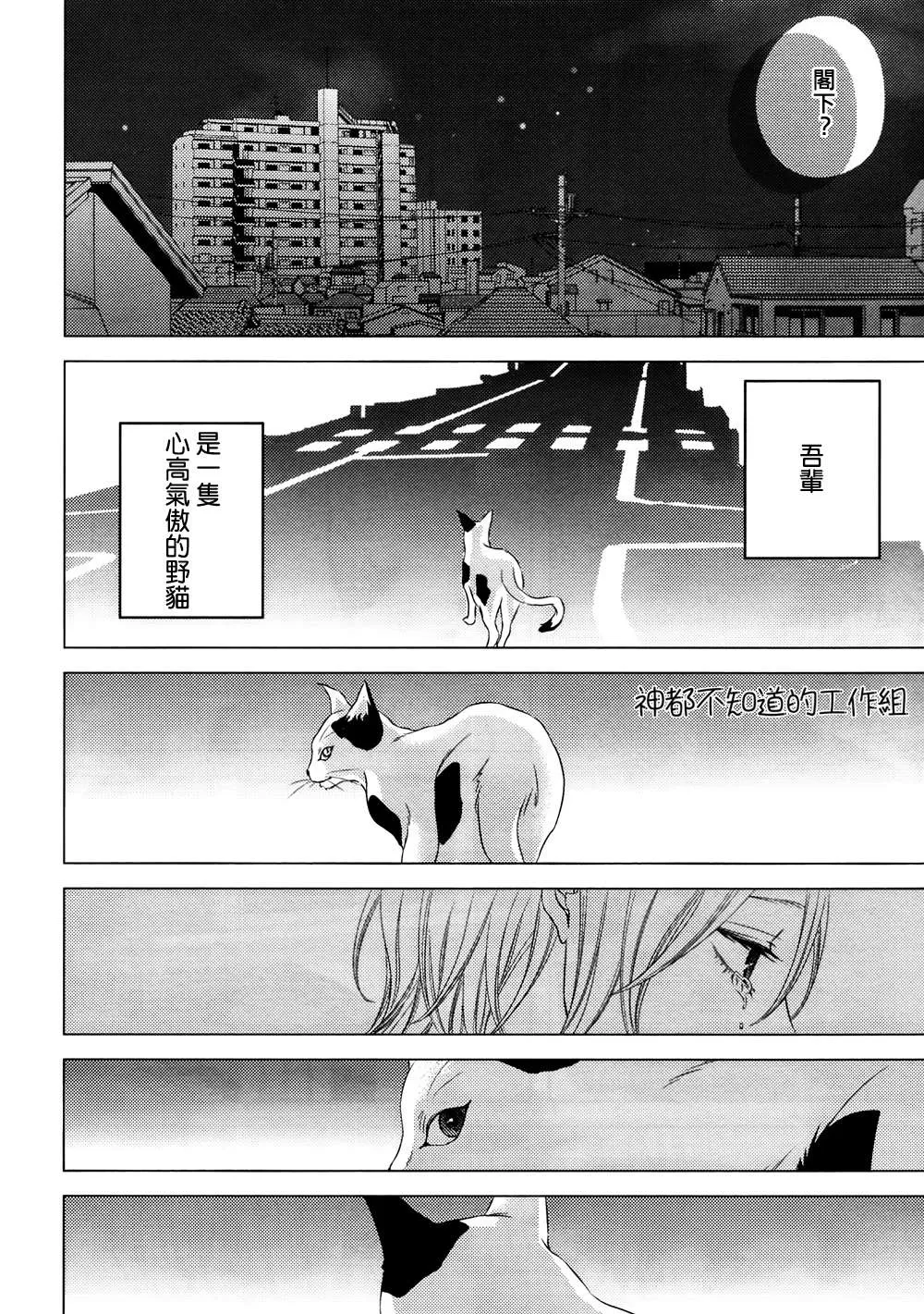 《野猫阁下的美人》漫画最新章节 第1话 免费下拉式在线观看章节第【27】张图片