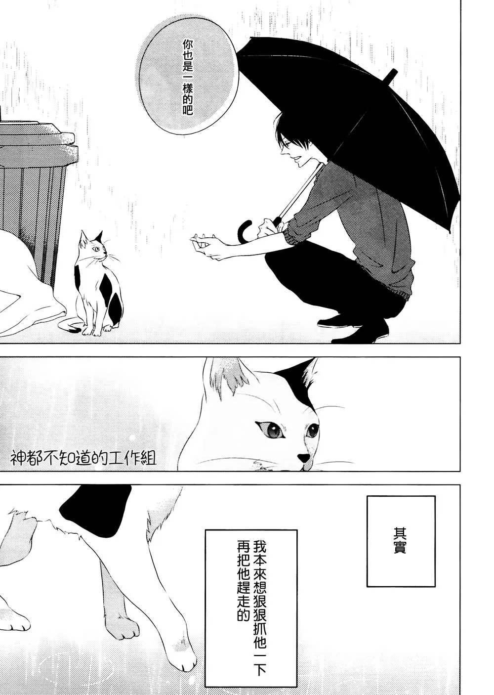 《野猫阁下的美人》漫画最新章节 第1话 免费下拉式在线观看章节第【34】张图片