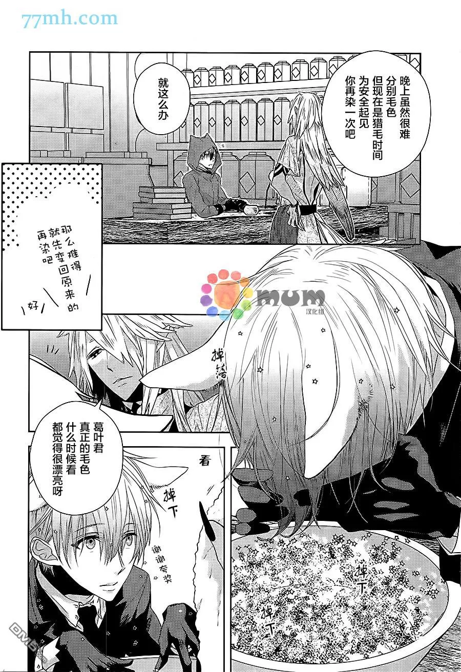 《黑狼与银狐》漫画最新章节 第2话 免费下拉式在线观看章节第【5】张图片