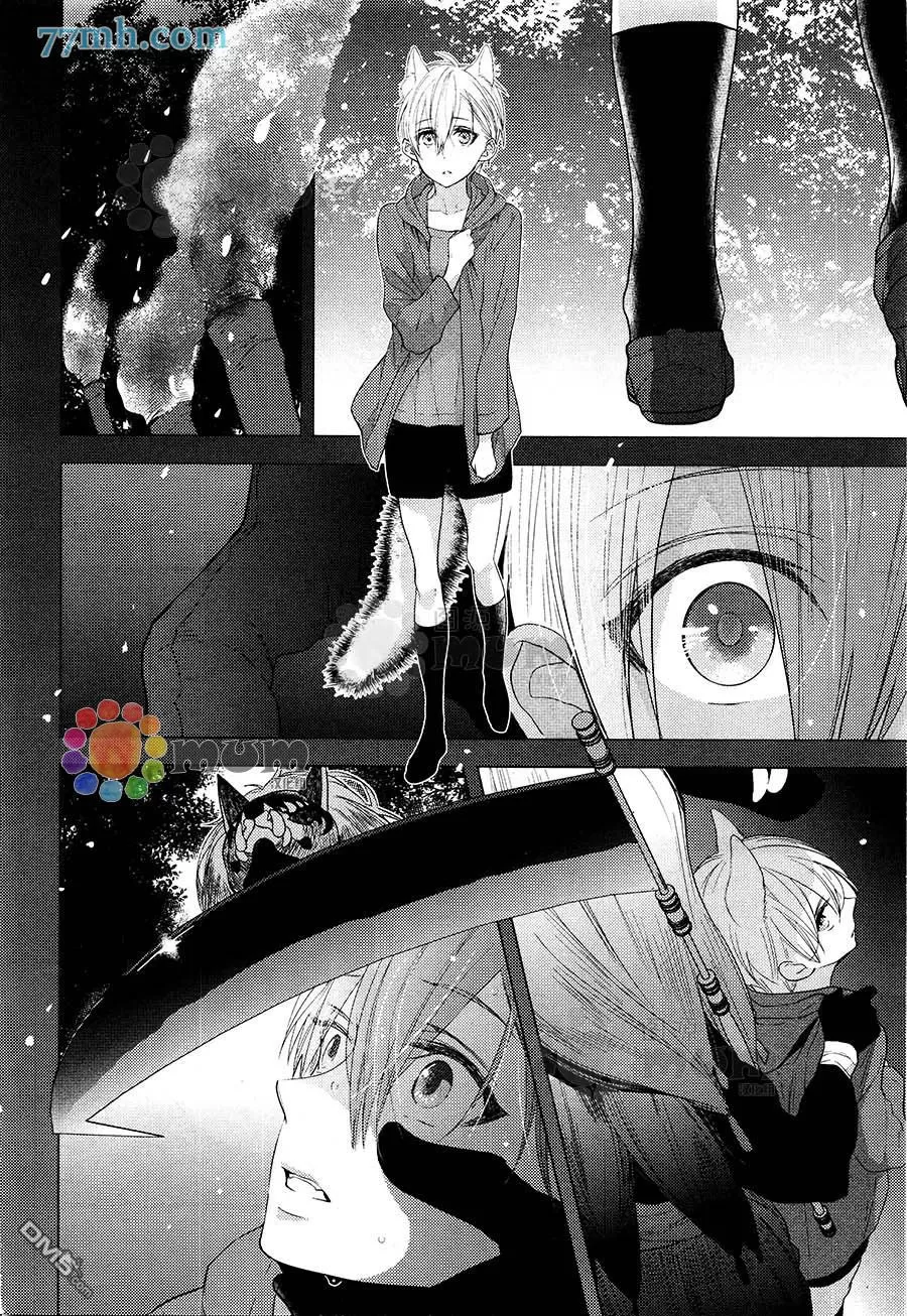 《黑狼与银狐》漫画最新章节 第2话 免费下拉式在线观看章节第【7】张图片