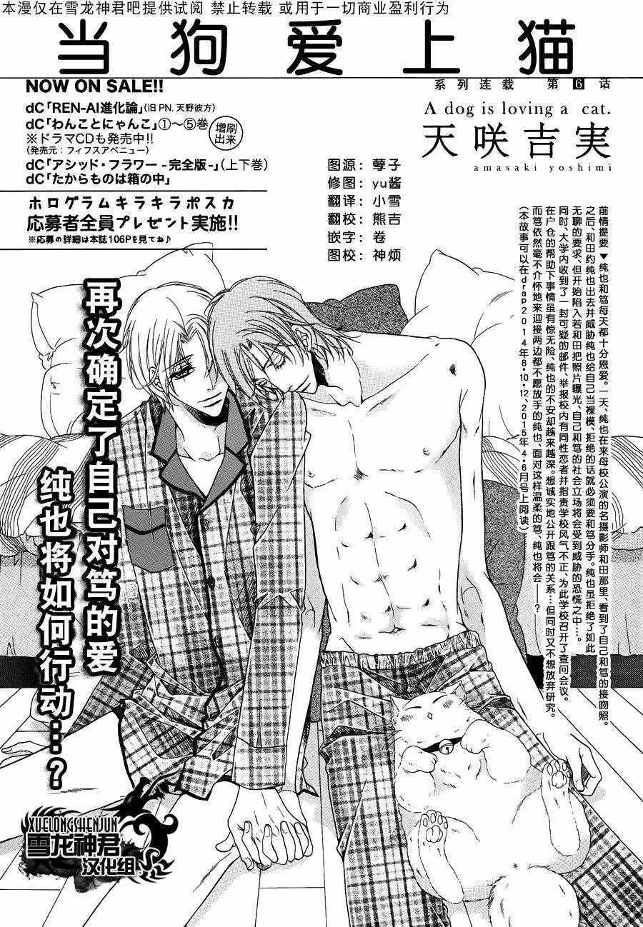 《当狗爱上猫》漫画最新章节 新篇6 免费下拉式在线观看章节第【1】张图片