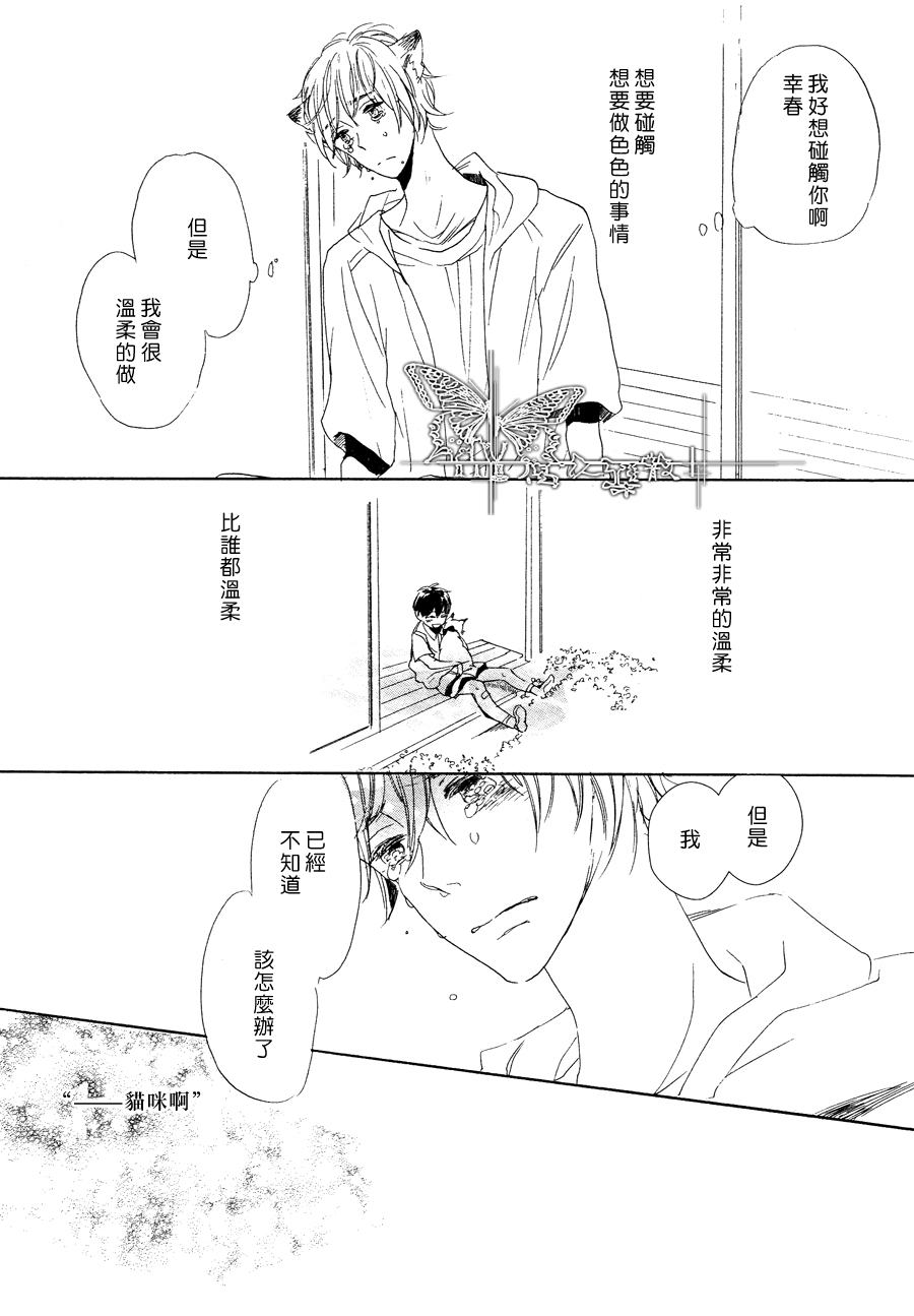 《猫新娘驾到》漫画最新章节 第2话 免费下拉式在线观看章节第【26】张图片