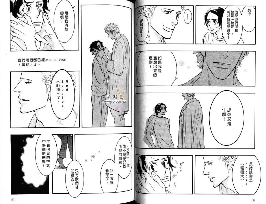 《狂野情人》漫画最新章节 第5卷 免费下拉式在线观看章节第【31】张图片