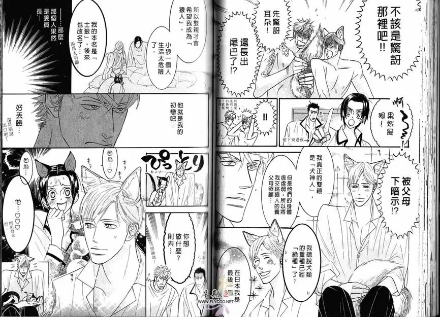 《狂野情人》漫画最新章节 第2卷 免费下拉式在线观看章节第【41】张图片