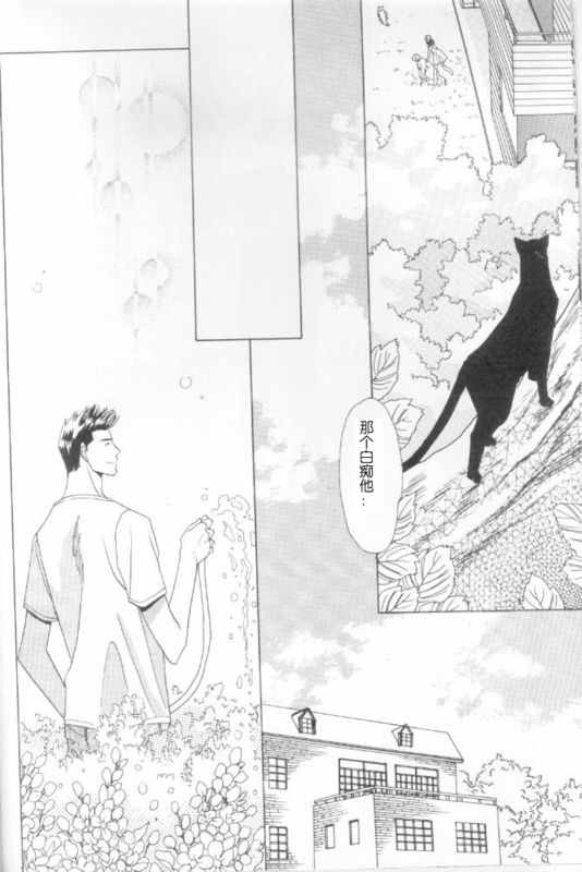 《cat fancy》漫画最新章节 第1卷 免费下拉式在线观看章节第【135】张图片